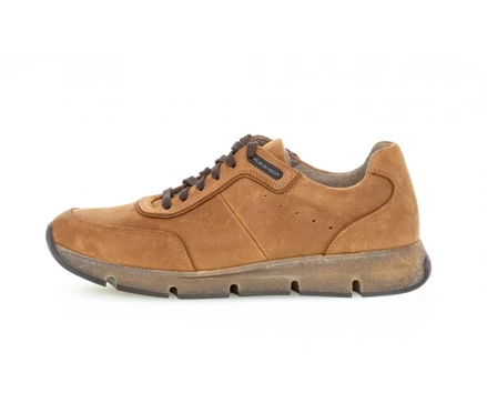 Gabor Joggesko Herre Brune | 10273QBAC