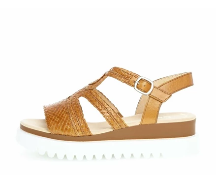 Gabor Sandaler Dame Brune | 75824WYMF